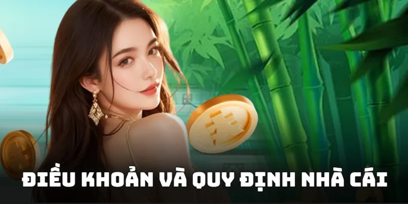 Khám phá điều khoản và quy định trước khi tham gia